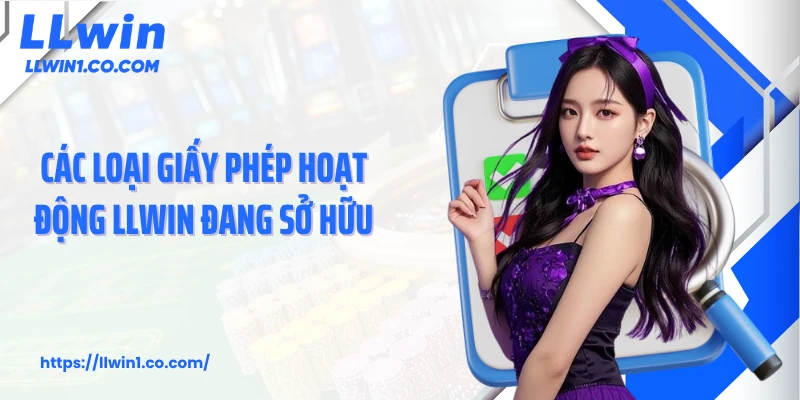 Các loại giấy phép hoạt động LLwin đang sở hữu