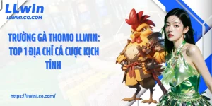 Trường Gà Thomo LLwin: Top 1 Địa Chỉ Cá Cược Kịch Tính 